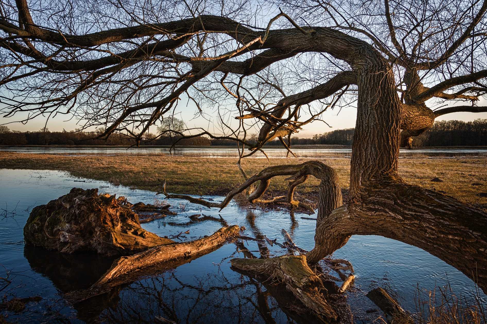 Elbe